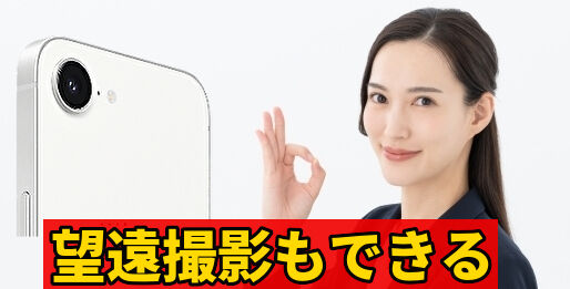 望遠撮影もできる